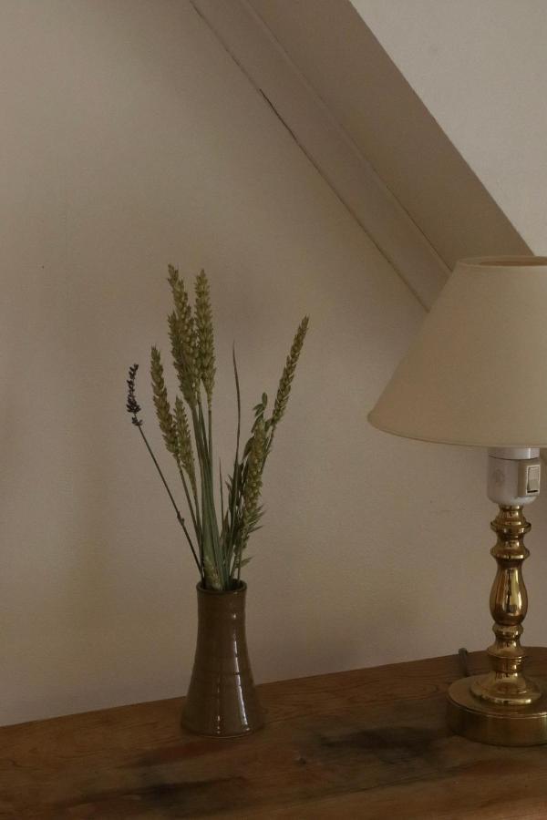 Bed and Breakfast Turistgarden Saerna Esterno foto
