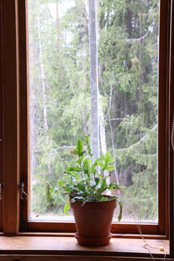 Bed and Breakfast Turistgarden Saerna Esterno foto